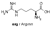 Arginin-Struktur