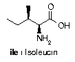 Isoleucin-Struktur